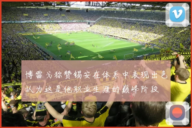 博雷戈称赞锡安在体系中表现出色认为这是他职业生涯的巅峰阶段